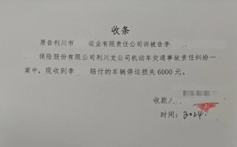 停运损失保险公司赔不赔？(保险公司机动车被告原告投保)