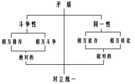 联结主义和行为主义区别