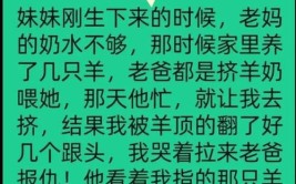 幽默又有趣，值得一看！(又有内裤一文男士商店)