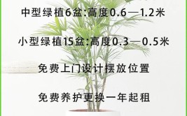 酒店绿植花卉租摆方案