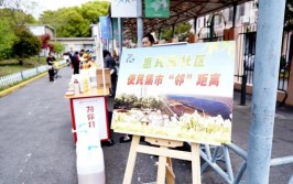 中关村学院路等地便民服务再升级(生活圈街道居民便民服务社区)