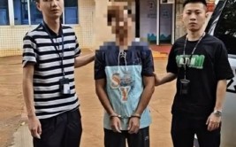 樟树一男子为泄愤砸人车获刑1年半(被告人樟树张某泄愤等人)