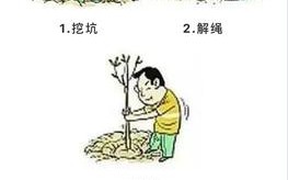 种植春天运用了什么的手法