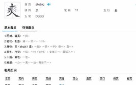 爽查字典部首是什么