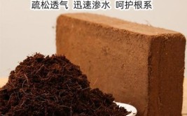 椰砖泡发椰糠种花非常棒但是要学会使用方法否则黄叶僵苗