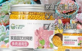 多肉用什么肥料最好