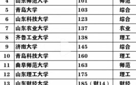 山东大学排名全国第几