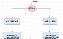 中技升大专的步骤及流程有哪些