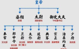 中国古代官员制度三公九卿制中的三公不包括什么