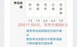 雅思复议可以加急吗