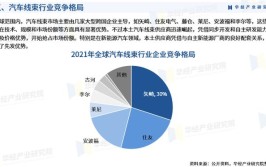 2024中国汽车电线行业市场发展机遇及未来前景(汽车电线细分规模线缆)