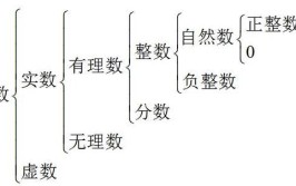 复数包括实数和虚数吗