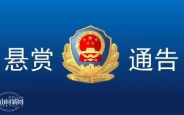 关于桂林市泓鑫机动车检测有限公司检车线通过初检验收的通告(机动车检测通告检验有限公司)