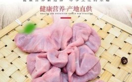 猪生肠是什么部位