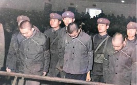 10日鼎定乾坤，1979年锦州市鲍万军案侦破始末(专案组民兵发现始末自动步枪)