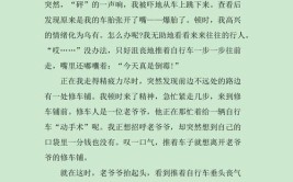 《修自行车的乐趣》——修车人的故事(自行车修车内胎乐趣故事)