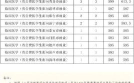 2024年临沂大学2+2国际本科学费多少钱