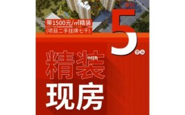 最近流行的精装房为什么在德州不流行(装修精装修项目海报住房)