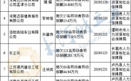 这50家单位上了黑名单！(工程有限公司拖欠有限公司农民工工资黑名单)