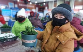 北京石景山社区举办绿植植爱温暖寒冬盆栽种植活动