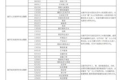 2024广西民族大学相思湖学院艺术类学费多少钱一年