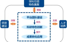 学科建设包括哪些内容