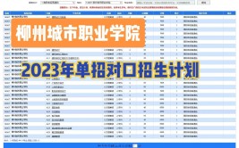 柳州城市职业学院2023年在内蒙古各专业招生人数