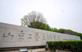 山东公办美术专科大学