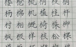 木字旁的字有哪些