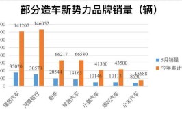 豪车销量增长迅猛(汽车城销量国际小觑增长)