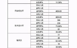 中级软考职称哪个含金量高