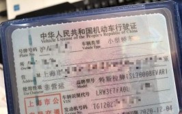 今天帮车主变更下行驶证，车主本人不方便(车主改色变更特斯拉行驶证)