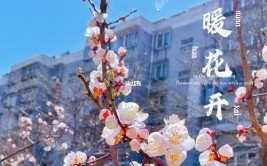 春暖花开指日可待这份房山赏花日历图和路线图请收好