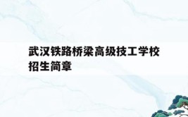 武汉铁路桥梁高级技工学校：聚焦数字化教育转型背景下的专业发展与教师素质提升