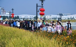 擦亮豫南乡村旅游名片！看古坊东岳迈向新征程(做活擦亮旅游迈向乡村)