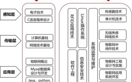 2024年物联网应用技术学什么课程