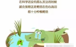 鳄鱼的眼泪给我们什么启示