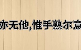 因曰我亦无他惟手熟尔的因怎么翻译