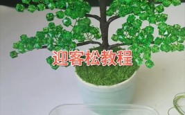 学会制作养护松树盆景的绝佳方法