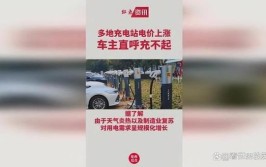 车主直呼苦不堪言(新能源高温充电汽车车主)