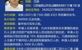 六安市金安区毛坦厂镇发布通告 经营场所逢单号休市(经营场所双号单号营业新安)