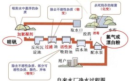 水净化与安全技术主要学什么