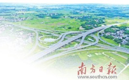 “五龙入廉”赋能城市蝶变！解码廉江交通脉络的脉动(农村公路建设交通公路农村)