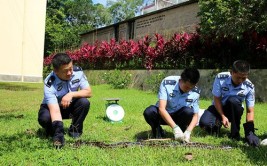 西双版纳森警连夜施救大蛇(巨蟒大蛇横穿森林民警)