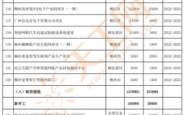 柳州市2024年市级重大实施类项目名单(项目南区柳江北区东新)