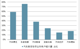 这个行业有前景吗？(汽车美容汽车行业这一市场)