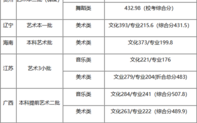 湘南学院艺术类专业有哪些？