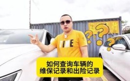 肇庆市车辆维修记录如何查询?(查询车辆二手车维修保养数据)