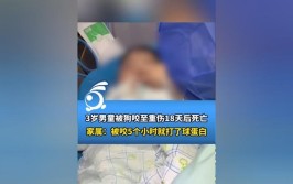 只因他对小狗做了这件事！(男童他对这件事重伤只因)