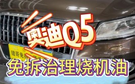 大众烧机油问题多，为啥反而卖得比丰田好？(丰田大众机油油耗品质)